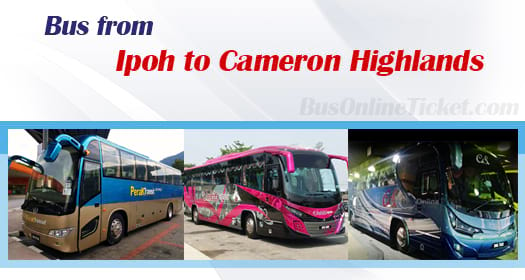  Bus  Ipoh  To Cameron Highlands Wallpaper
