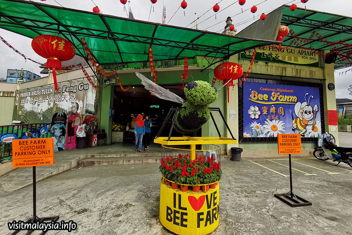 Boh Tea Plantation Cameron Highlands Tour Busonlineticket Com